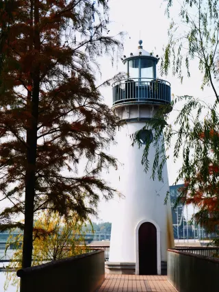 Who hasn't gone to Yinzhou Park to capture the autumn colors? Look here