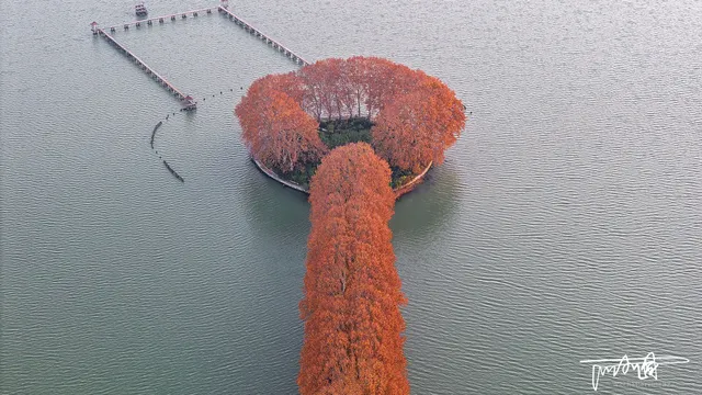 武漢秋天的「金鑰匙」被我找到了！