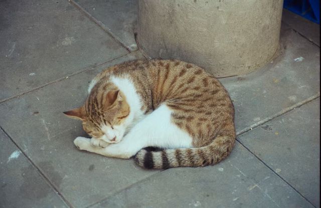 靜安雕塑公園必玩攻略治癒系路線 靜安雕塑公園必玩攻略治癒系路線