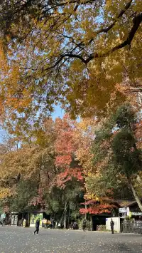 流徽榭，美得像金陵深秋的油畫秘境~