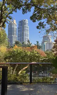 上海市中心兩小時賞秋路線