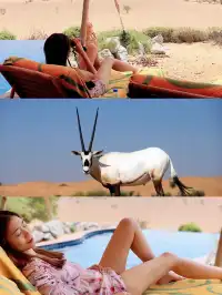 第一次去迪拜，請直接複製這條攻略！