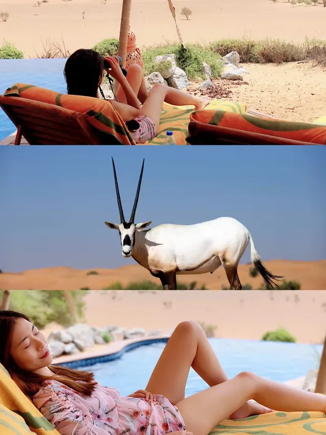 第一次去迪拜，請直接複製這條攻略！