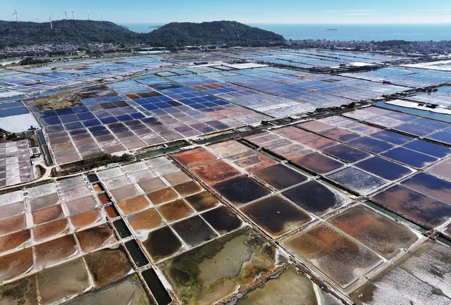 漳州東山島西港鹽田 漳州東山島西港鹽田