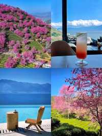 每個冬天都想去的,除了大理,還有…