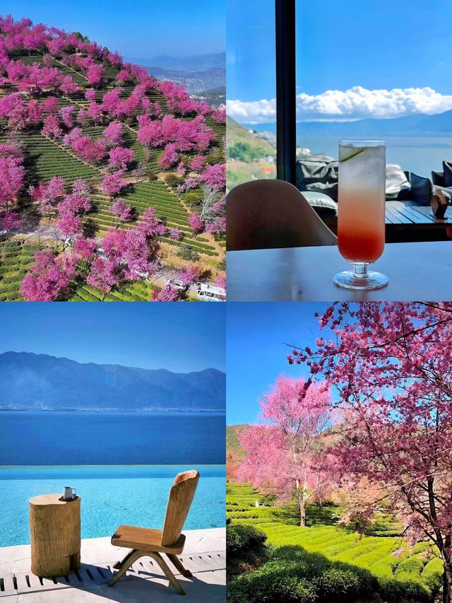 每個冬天都想去的,除了大理,還有… 每個冬天都想去的,除了大理,還有…