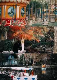 魯迅公園的秋日啟示:「生命暫停鍵」 金黃的銀杏葉像撒了一地碎金,紅楓則像一團團燃燒的火焰, 陽光