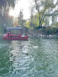 西安興慶宮｜在皇家園林裡接住最後一捧銀杏