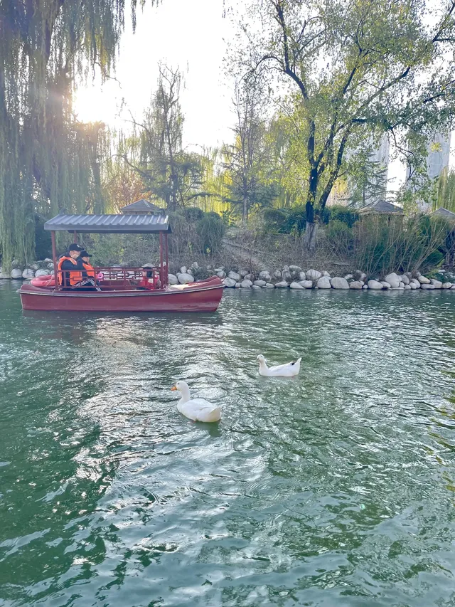 西安興慶宮｜在皇家園林裡接住最後一捧銀杏