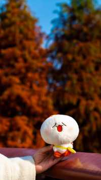 住對酒店,連散步都藏著極致浪漫