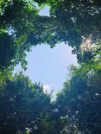 淡季泉州走街串巷—寺廟&拜拜