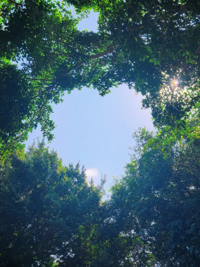 淡季泉州走街串巷—寺廟&拜拜 淡季泉州走街串巷—寺廟&拜拜