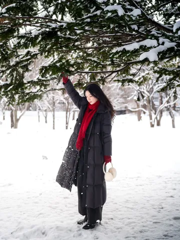 北海道雪又開始下了。