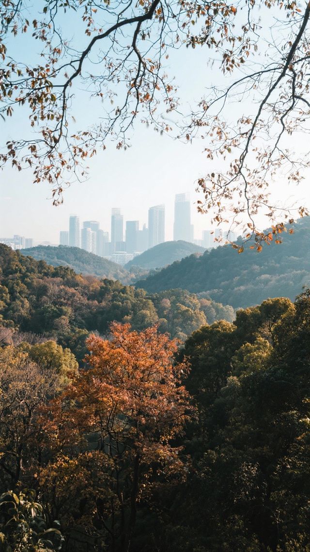 12月四種風格的冬日旅行攻略