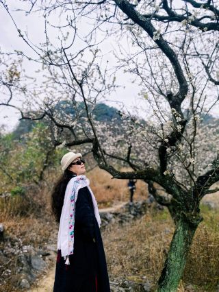 링난에서 가장 아름다운 매화 천국 | 칭위안 수이랑 계곡