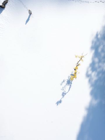 Xi'an 1h | Breaking into the Ice and Snow Secret Realm in the Qinling Mountains…