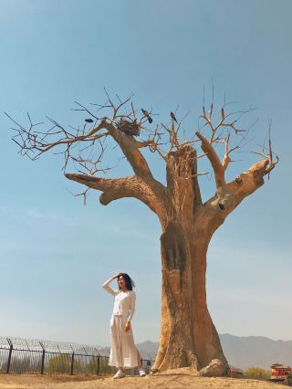 닝샤 | 텅그리 사막 열차에서 숙박하며 위대한 영웅의 꿈을 이루세요.