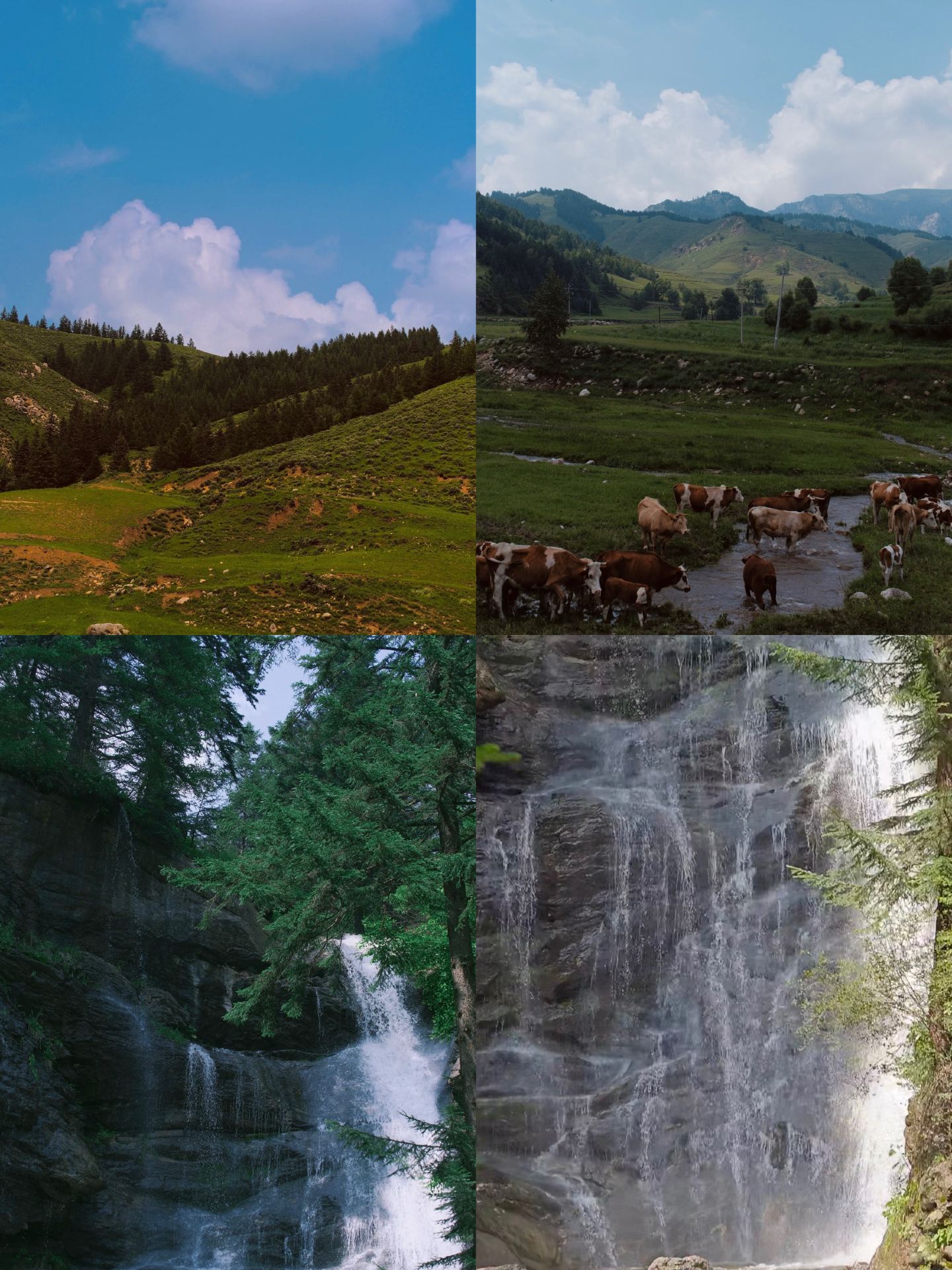 Avoid the Crowds｜In-depth Travel Guide to Luyashan, Cool Summer Escape, Scenery Comparable to 5A Scenic Spots