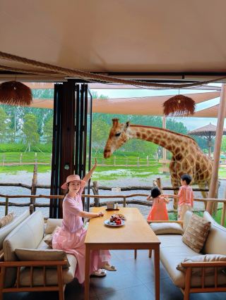 I actually didn't go to Kenya, but I took pictures of the animal fairytale world in Qinhuangdao.