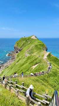 北海道絕美海岬！神威岬的藍讓人一眼難忘