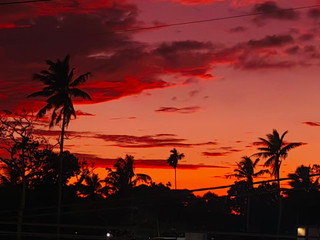 Dive into an orange sea: A collection of Indian Ocean sunsets in Sri Lanka