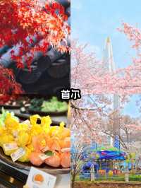 第一次去韓國，千萬別跟團，能勸一個是一個，因為實在太...
