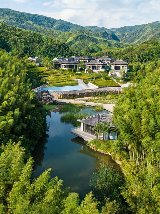 (到廣德住一晚溪畔庭院,推窗竹海翻湧聽了一整夜山泉入夢 (到廣德住一晚溪畔庭院,推窗竹海翻湧聽了一整夜山泉入夢