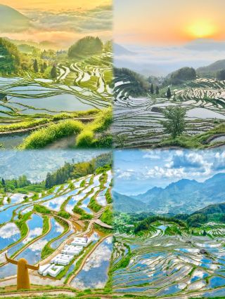 Trip.com hit new creative notes｜Zhejiang’s cloud terrace fields crowned! Top choice for escaping the city in Jiangsu, Zhejiang, and Shanghai
