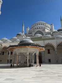 Fantastic Istanbul Tour Experience!
