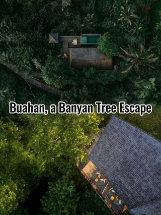 A secluded wonderland in Bali: boundless rainforest villas for a gentle getaway