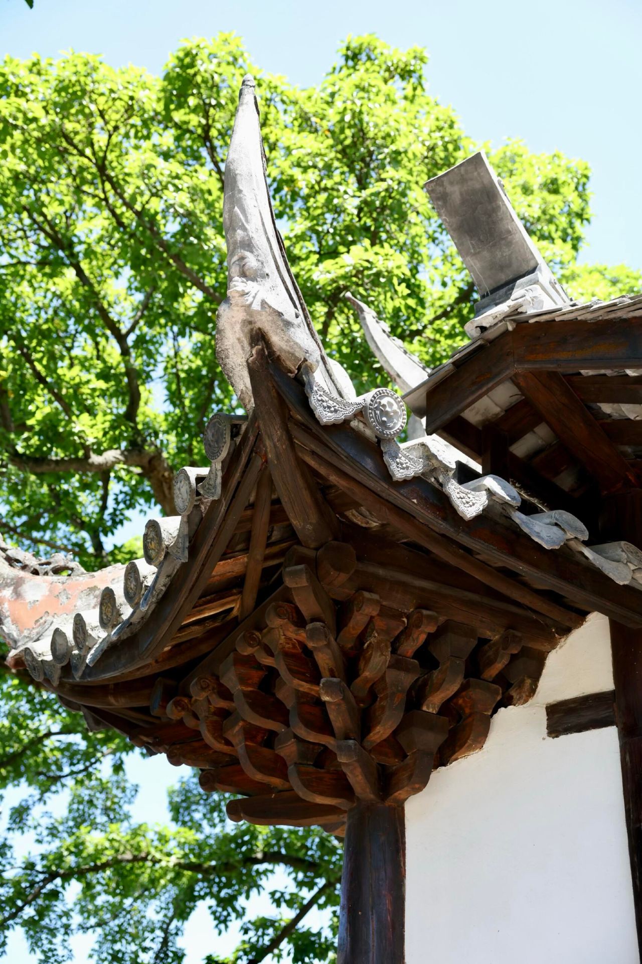 Explore a hidden Ming Dynasty temple in central Sichuan and discover stunning blue-and-white porcelain dragon ridge murals