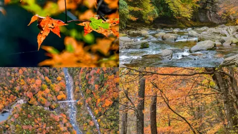 A fairyland you can reach in just a 2-hour high-speed train ride! — traveler post in Congjiang
