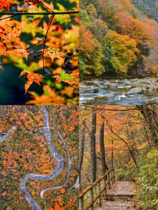 A fairyland you can reach in just a 2-hour high-speed train ride!