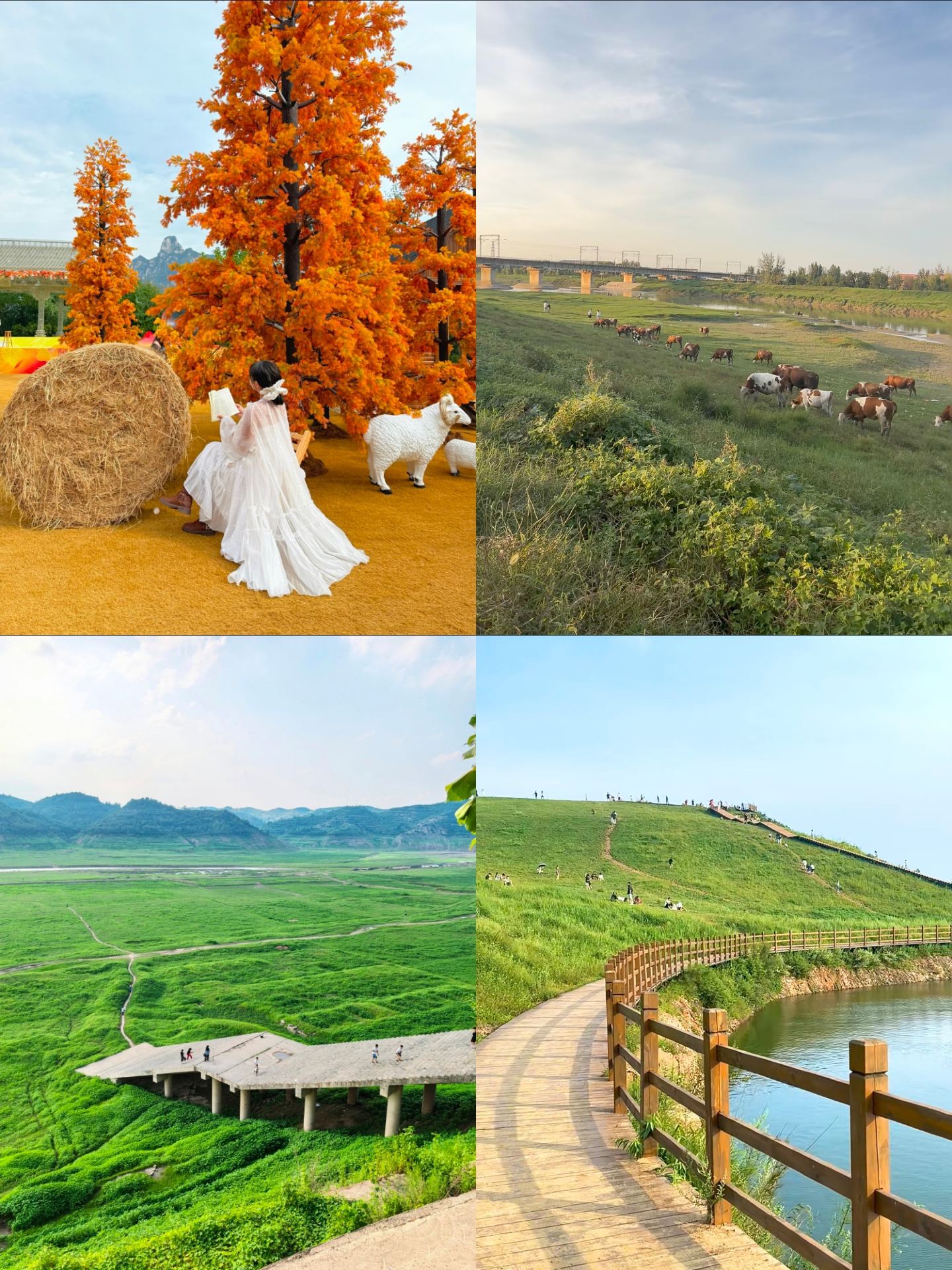 Henan's version of "Altay" is just a 1-hour high-speed train ride away! The scenery rivals Xinjiang, perfect for a spontaneous weekend getaway.