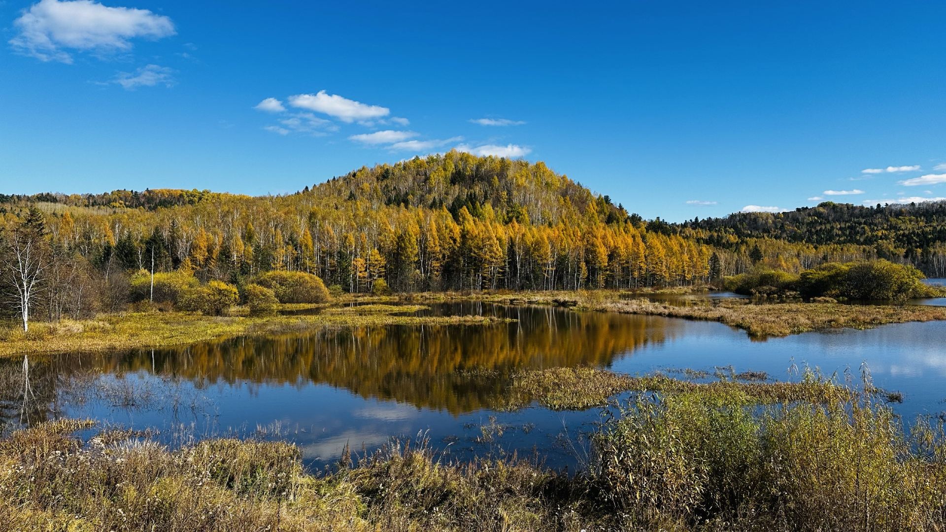 Autumn in the Lesser Khingan Mountains was absolutely worth the trip!