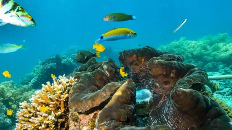 Panduan Liburan Musim Gugur 7 Hari di Australia: Rute Praktis Tanpa Ribet! — traveler post in Main Beach