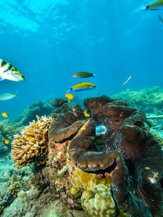 7-Day Australia Autumn Travel Guide: A Worry-Free Itinerary