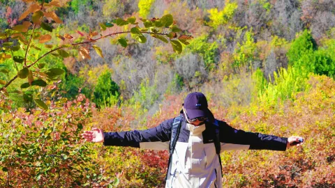 Oct 21 live update | Beijing's top autumn scenery is here. Not many people right now 🍁 — traveler post in Beijing