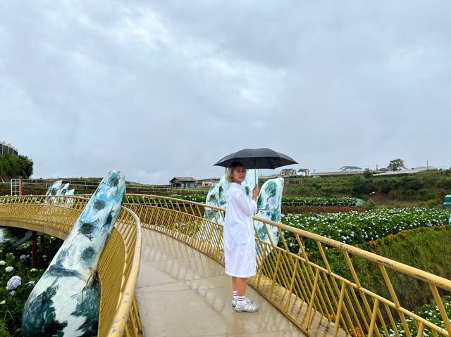 Hydrangea Garden  | DàLat Veitnam 🇻🇳