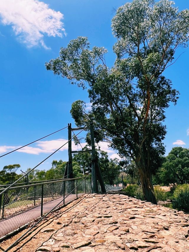 Suspension Bridge || Swing Birdge, York, WA📸