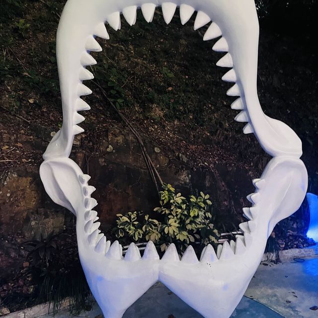 重返18歲:令人意猶未盡的地方-海洋公園