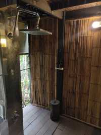 Bangkok Tree House