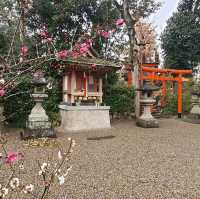 奈良郡山古老的八幡神社