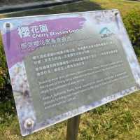 香港小日本🇯🇵櫻花園