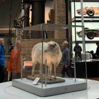 So much to see at National Museum of Scotland 