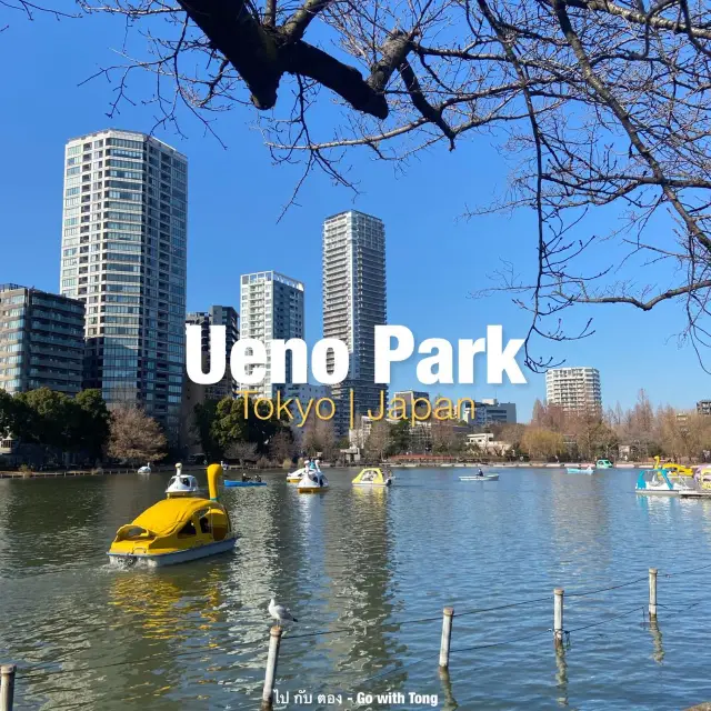 พาเที่ยวสวน Ueno Park | Japan
