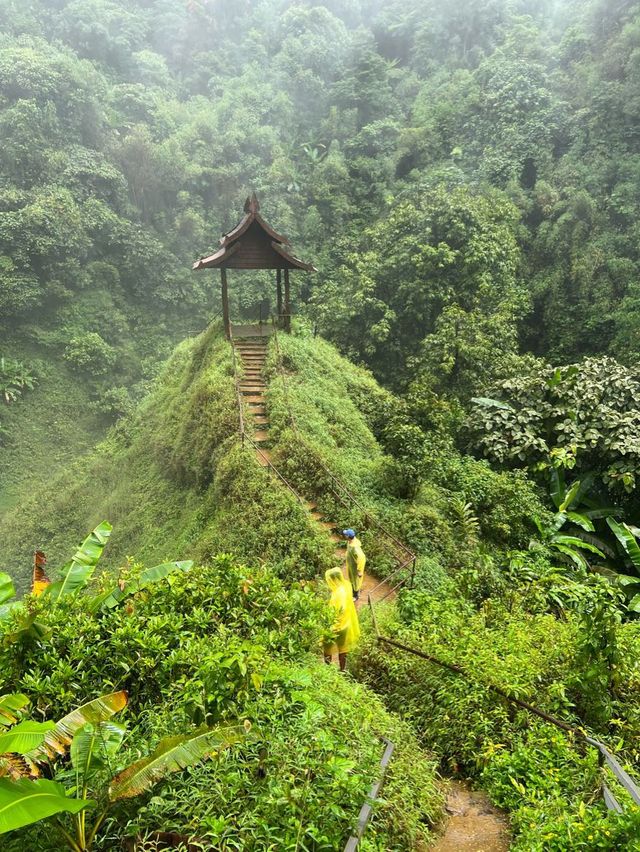 ตาดเยืองเมืองลาวแบบฉ่ำว้าว