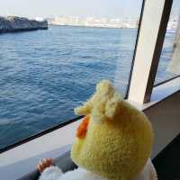 子どもと行く　海遊館～USJ　フェアリー移動