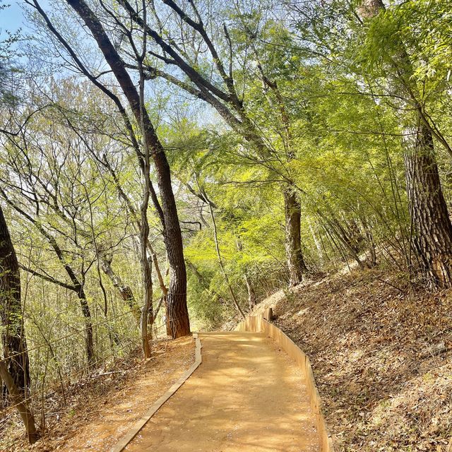 부산의 숨은 힐링장소 회동수원지 둘레길 황토숲길🌱🌸