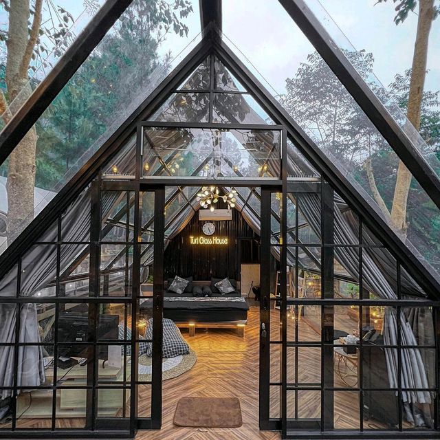 Turi Glass House